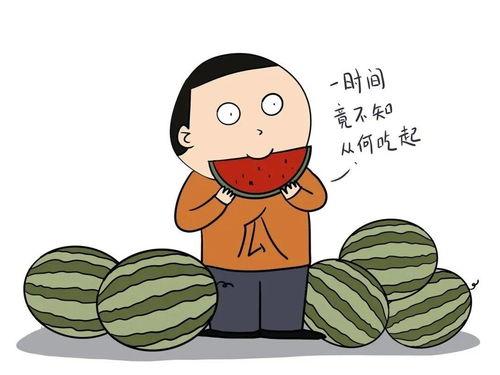 瓜瓜吃瓜语言目标,揭秘娱乐圈幕后真相