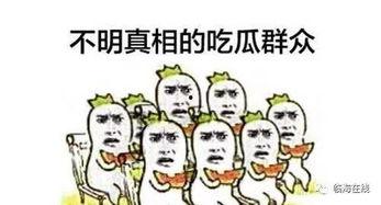 吃瓜群众临海,吃瓜群众视角下的临海风云录