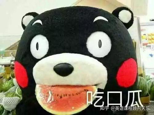 吃瓜群众如何形容,揭秘吃瓜群众眼中的娱乐圈风云