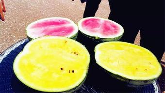 超大个的吃瓜,一场味蕾与视觉的盛宴