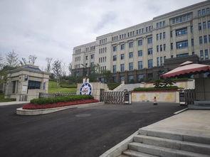 吃瓜宜宾学院,吃瓜群众眼中的校园风云录