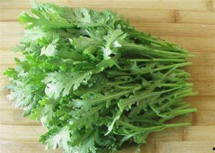 吃茭瓜可以吃苘蒿,营养互补的绿色美食之旅