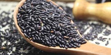 每天吃一个黑蜜瓜,黑蜜瓜的甜蜜生活