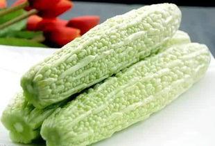 喵喵上树吃瓜吃瓜吃瓜,瓜果飘香引围观