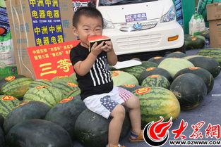 小家伙吃瓜,小家伙的夏日吃瓜盛宴