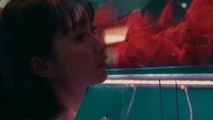 吃瓜女孩视频,短视频中的娱乐现象与社交影响力