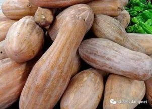 文安吃瓜地,揭秘民间趣事，品味生活百态