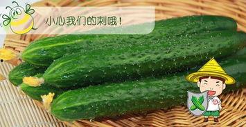 万六吃瓜,揭秘娱乐圈背后的那些事儿