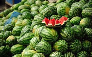 卖东西吃瓜,市井生活百态记