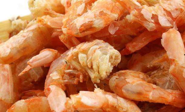 虾米吃小瓜虫,一场生态平衡的生死较量