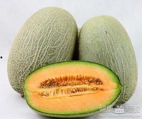 蚊子吃哈密瓜,一场意外的美味邂逅