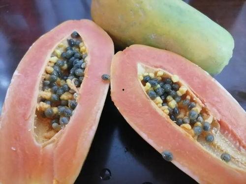 波浪线吃瓜视频,揭秘“波浪线吃瓜”视频背后的热门现象