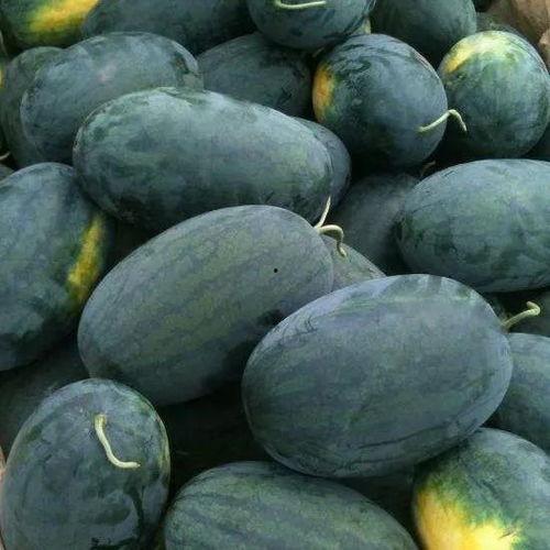 山东野王吃瓜,揭秘网络红人的日常生活