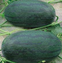 山东传媒吃瓜事件,揭秘背后真相与网络舆论漩涡