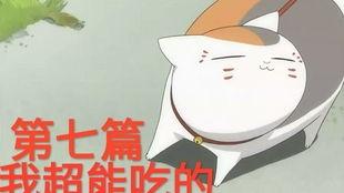 猫咪老师吃瓜,吃瓜背后的趣味与智慧