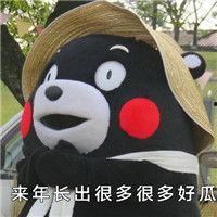 吃强扭的瓜表情,揭秘吃瓜表情背后的心理奥秘